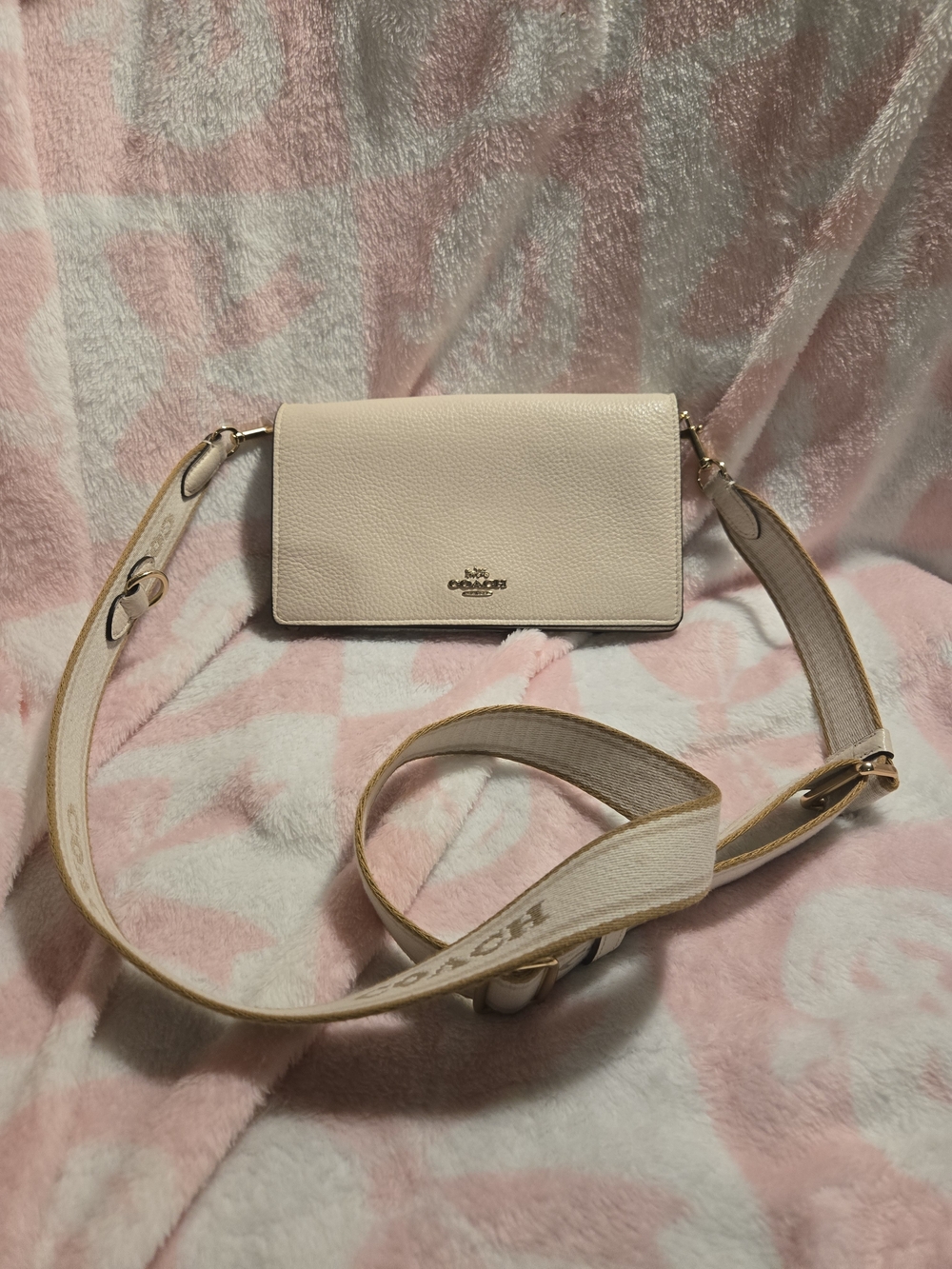 Coach Anna Leather Crossbody Bag